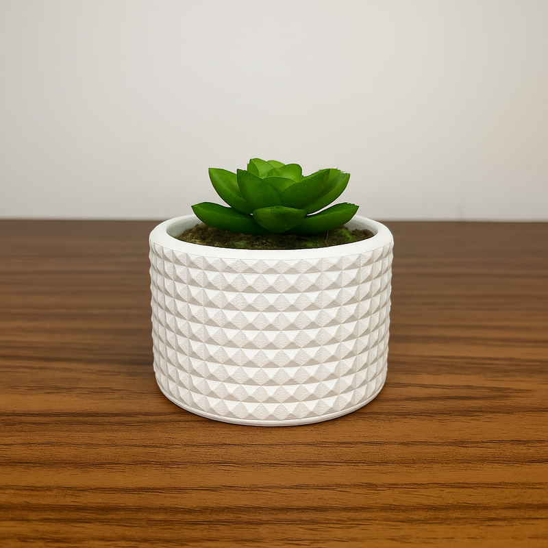 Kit Vasos Decorativos de Gesso Detalhado para Plantas - PAGUE 1 LEVE 2